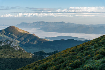 view of a mountainous landscape above the clouds at dawn