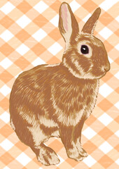 うさぎの手描き風イラスト3（背景柄あり）