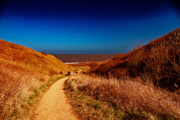 Castle Eden Dene, Durham, north east England, UK