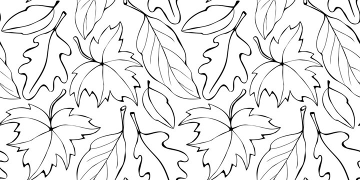 Seamless pattern falling leaves. Vector autumn texture isolated, outline, sketch style. Concept of forest, leaf fall, nature