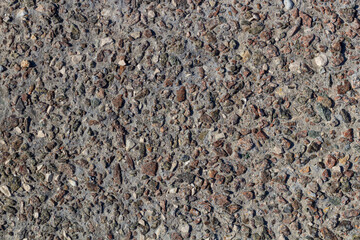 stone wall texture. pieces of shells stick out of the stone. textured design background