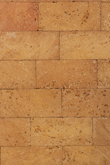 limestone wall texture with seashells. beautiful vintage wall