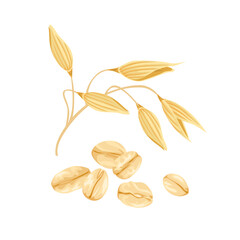 Oats vector illustration. Oat flakes and ear isolated on white. Cartoon flat style.