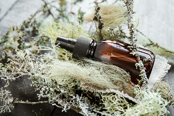Brown pipette bottle with herbal lichen medicine tincture inside concept. Usnea barbata or old...