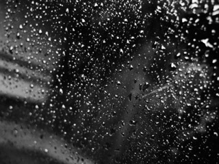 rain drops on the window