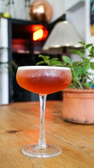 iced rooibos tea in a cocktail glass