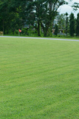 golf course with hole