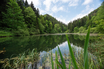 See bei Glovelier auf einer Wanderung