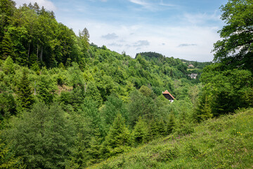 Gr&uuml;ne Landschaft bei Wanderung in der N&auml;he von Glovelier