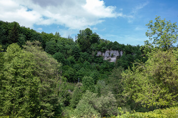 Fototapeta na wymiar Fels inmitten des Waldes während Wanderung