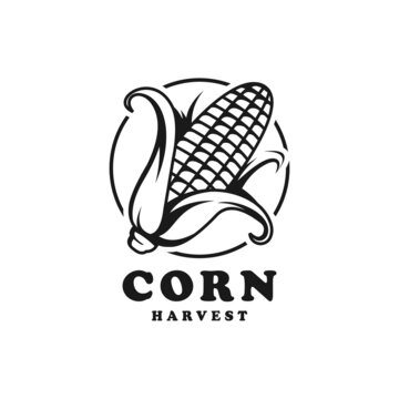 vintage logo corn vector template illustration