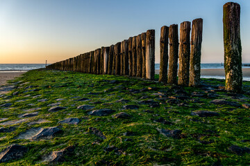 Wooden breakwater - Dutch seascape at sunset, The Netherlands.