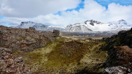 Vulkanlandschaft in Island mit Moosen bewachsen. 