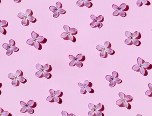 Colorful bright floral pattern of lilac on pink background. Group of flower buds making tracery. Flat lay, top view. 