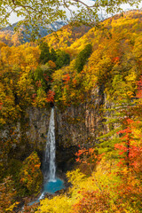白水の滝と紅葉