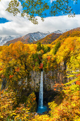 白水の滝と紅葉