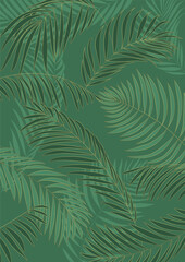 Vector illustration of tropical plants.