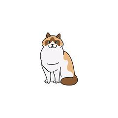 Obraz na płótnie Canvas cat breed ragdoll contour sketch doodle illustration.