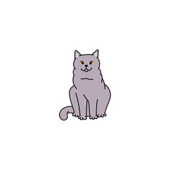 cat breed british shorthair contour sketch doodle illustration.