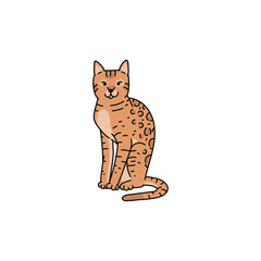 cat breed bengal contour sketch doodle illustration.