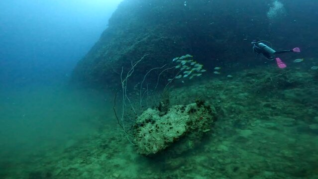 Under Water Film footage -  circeling a rock with corals and Fusslier fish - at ocean floor - a diver i visible in the background - Sail rock island in Thailand