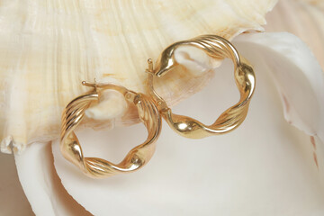 Earrings product shot. Golden hoops on marine shell background. Jewelry fashion photography.