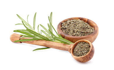 Rosemary fresh and dry isolated on white background. Spice closeup.