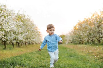 Little boy walking in spring garden.