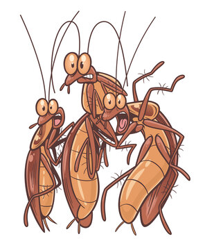 Scared cartoon cockroaches on the white background.
