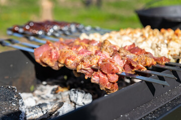 Shish kebab made from marinated pork and cooked on barbecue grill over charcoal. Traditional barbecue picnic food. Outdoor food concept. Lifestyles.