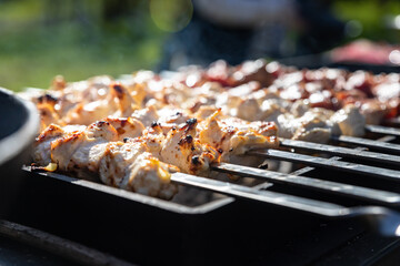 Shish kebab made from marinated chicken and cooked on barbecue grill over charcoal. Traditional barbecue picnic food. Outdoor food concept. Lifestyles.