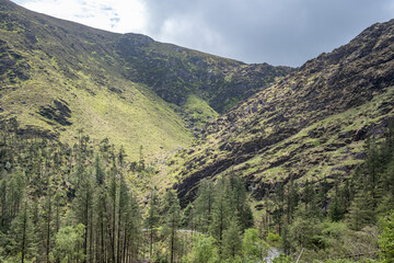Naklejka premium Gougane Barra National Park