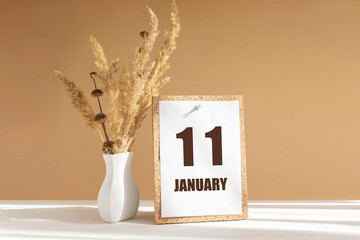 january 11. 11th day of month, calendar date.White vase with dried flowers on desktop in rays of sunlight on white-beige background. Concept of day of year, time planner, winter month
