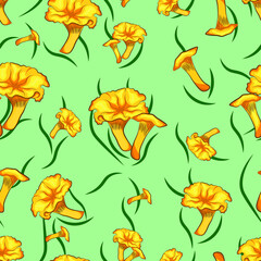 Vector seamless pattern. Chanterelle mushroom on a green background with herbal elements. Design for printing on textiles, clothing, 
wallpaper printing.
