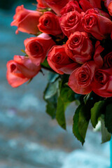 Pink romantic roses. Floral background with soft focus. Colorful rose wall background. bouquet, water drops, copy space, beautiful,  bouquet isolated on  dark, black background