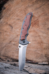 Tactical knife survival difficult conditions stuck into stump sawn tree wooden background.