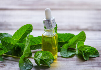 Peppermint essential oil in a small bottle. Selective focus.