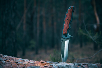 Tactical knife for survival and protection difficult conditions stuck into trunk tree in forest.
