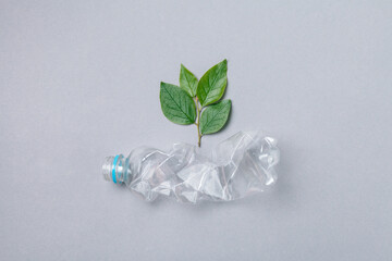 Earth day and ecology, plastic bottle waste recycle and reuse concept