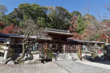 秋の長等神社　中門と回廊　滋賀県大津市三井寺町