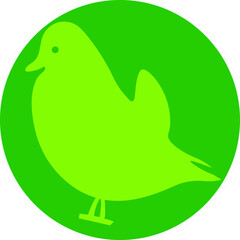 mandarin duck bird icon vector