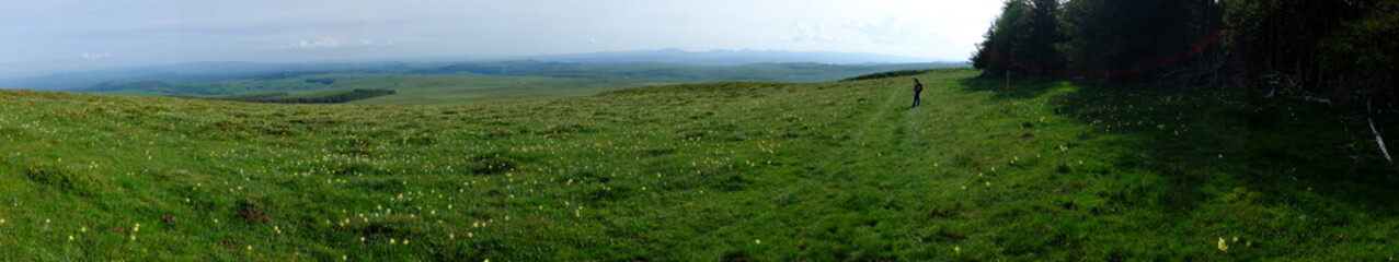 Signal du Luguet (Cézallier)