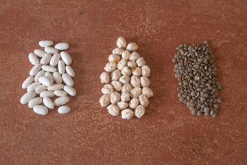 3 types of pulses, white beans, chickpeas and lentils