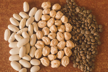Group of legumes chickpeas, white beans and lentils