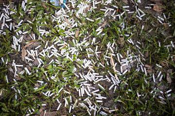 an uncounted number of cigarette butts lies on green grass, a symbol of harm to health and the...