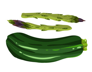 Obraz na płótnie Canvas Vector illustration. Healthy green food. Asparagus, zucchini. Handmade, postcard, stickers