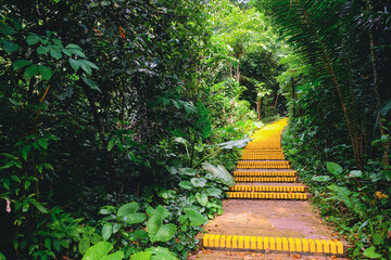 Walking path with yellow bricks that disappears into the distance in a lush green forest park....