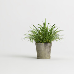 3d illustration of houseplant potted isolated on white background