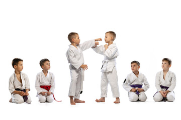 Little beginner karate fighters in white doboks and colorful belts training isolated on white background. Concept of sport, martial arts, education, childhood