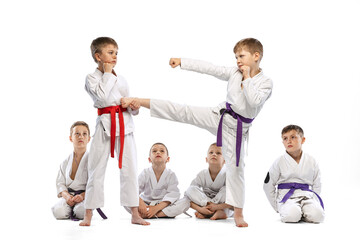 Little beginner karate fighters in white doboks and colorful belts training isolated on white...